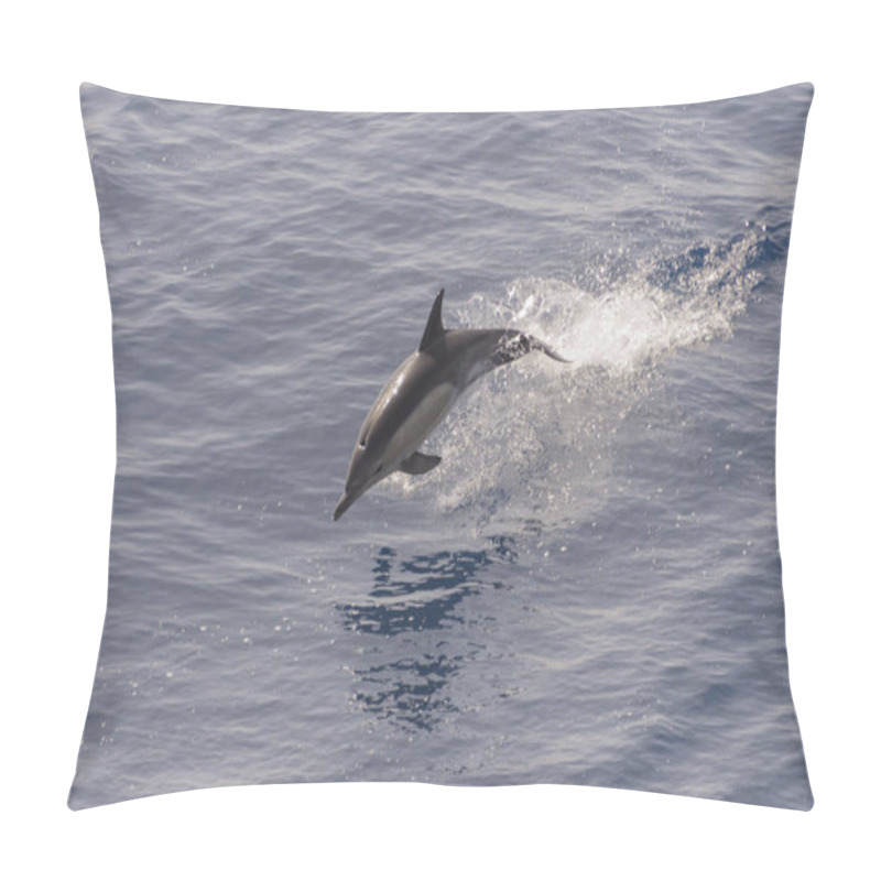 Personality  Dolphin Jumping Out Of Calm Sea Pillow Covers