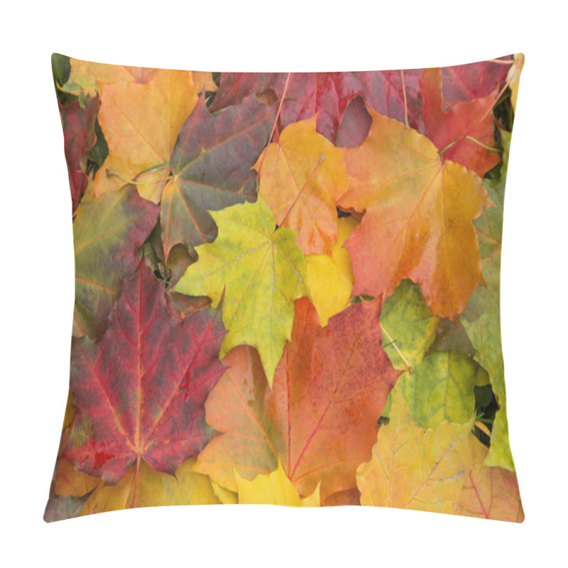 Personality  Fall Colourful Autumn Maple Leaves Texture Pillow Covers