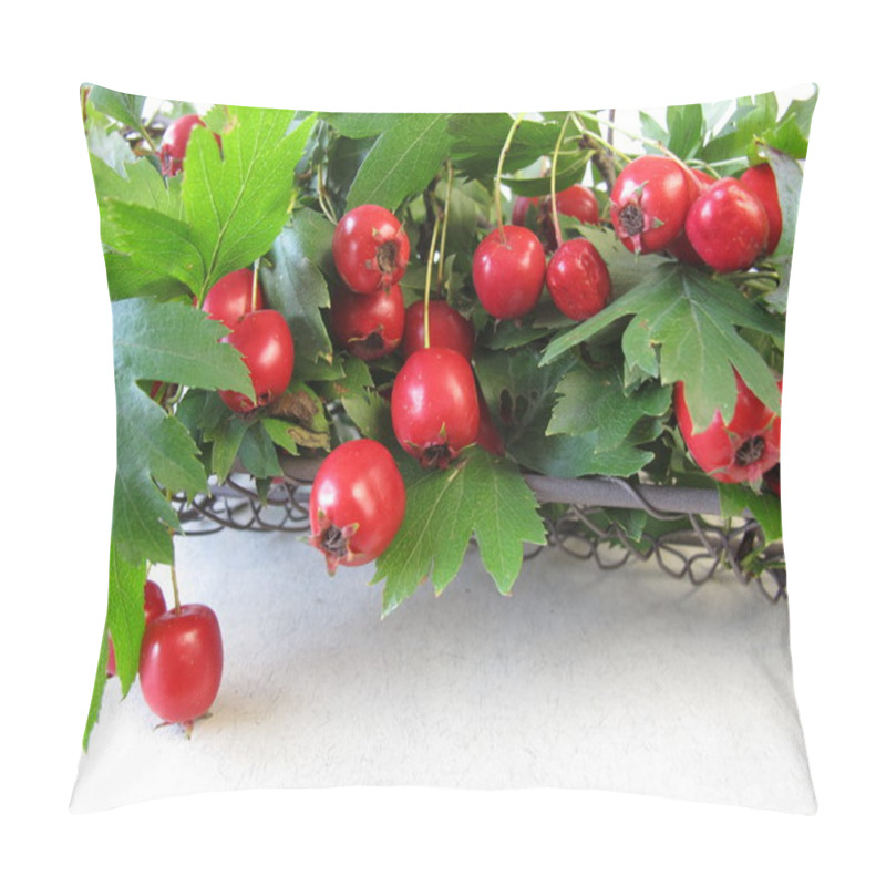 Personality  Hawthorn Twigs With Fruits Pillow Covers