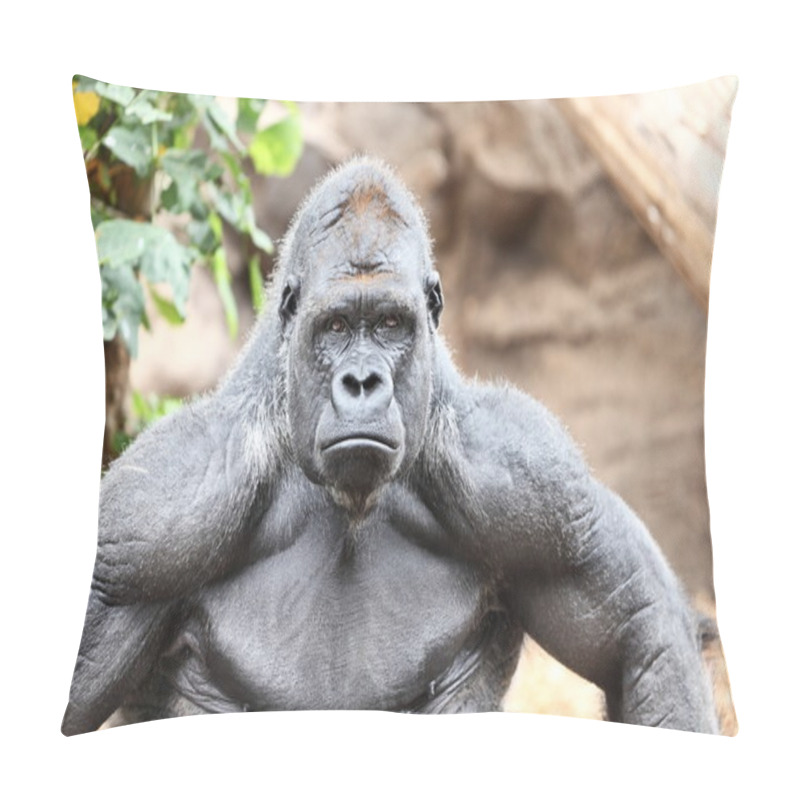 Personality  Gorilla - Silverback Gorilla Pillow Covers