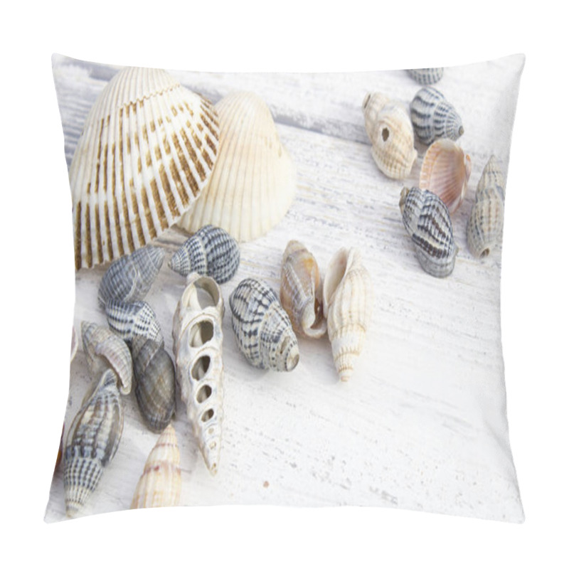 Personality  Set Of Sea Shells On White Wooden Background Pillow Covers