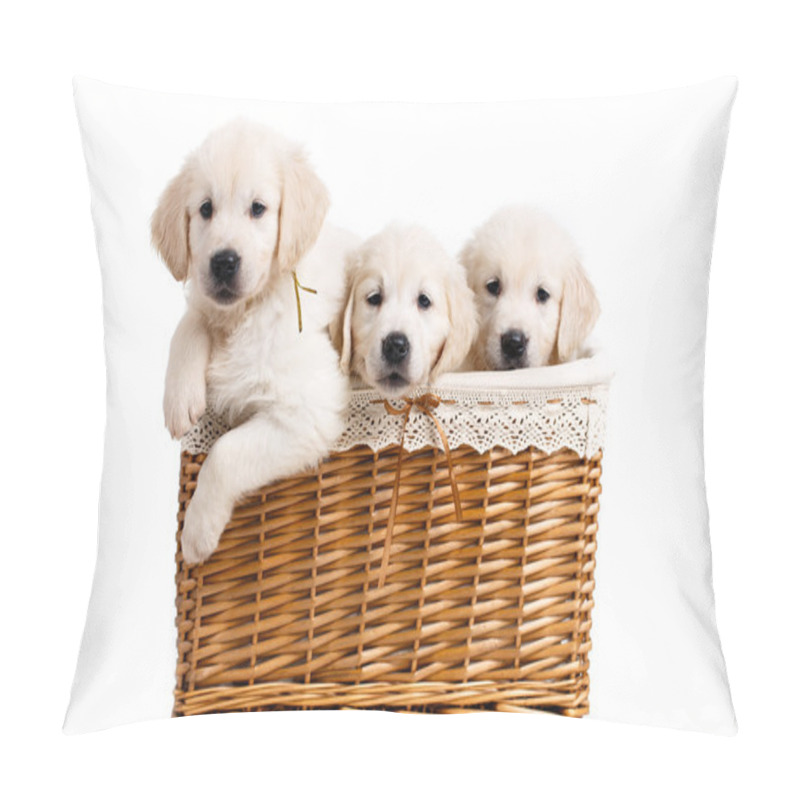 Personality  Three White Labrador Puppy In A Wicker Basket Pillow Covers