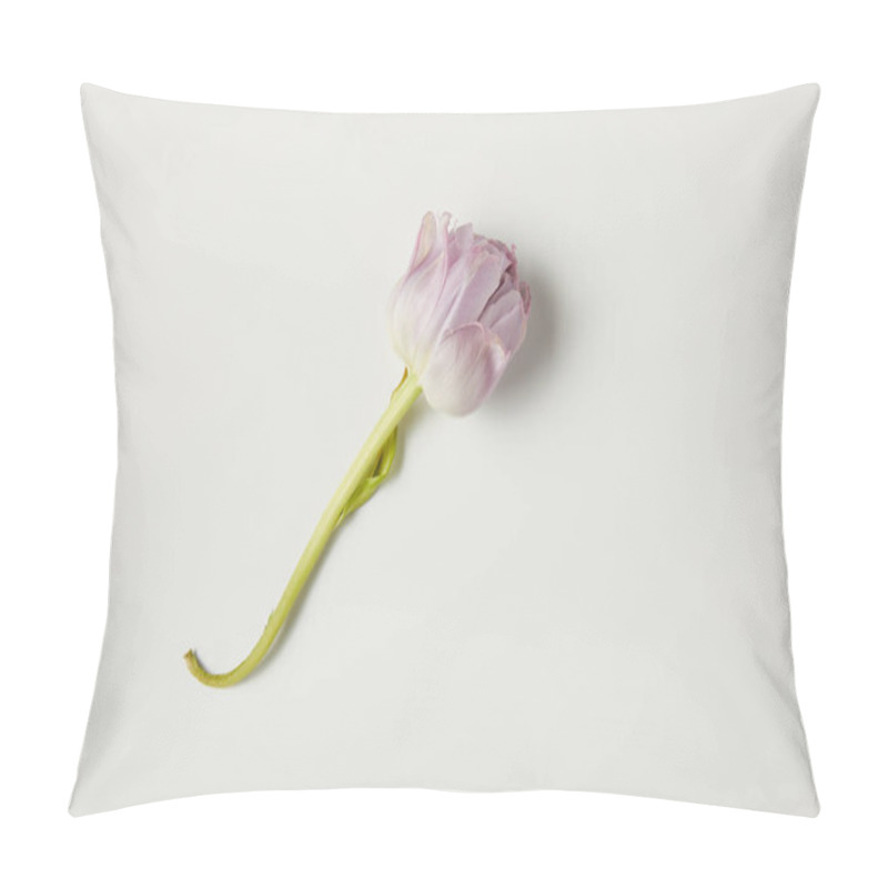 Personality  Top View Of Single Beautiful Tender Pink Flower Isolated On Grey Pillow Covers