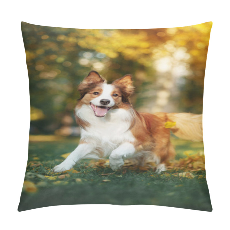 Personality  Young Border Collie Dog Playing With Leaves In Autumn Pillow Covers