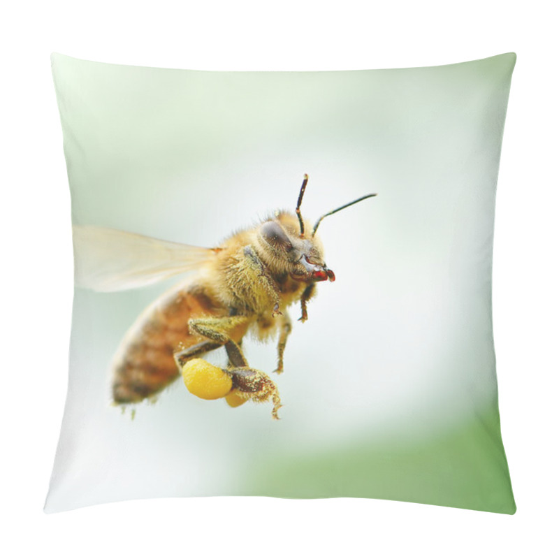 Personality  Flying Honey Bee     Pillow Covers