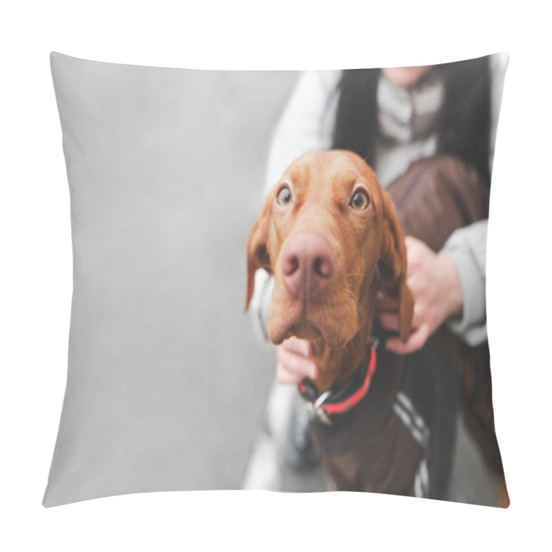 Personality  Woman Holds A Dog On The Street, The Focus On The Face Of A Brow Pillow Covers