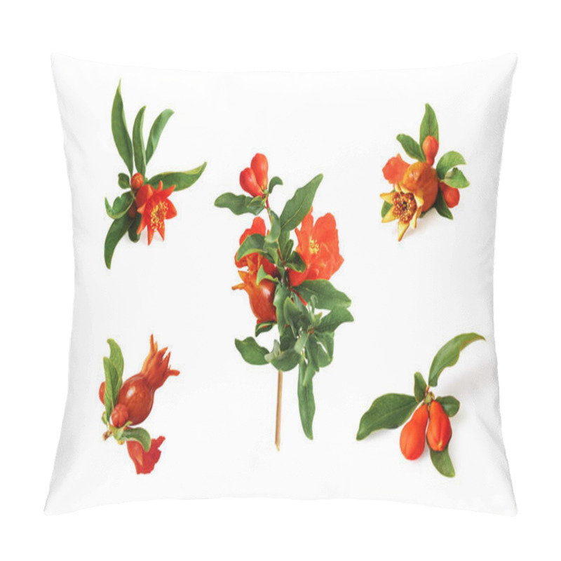 Personality  Set Of Various Pomegranate Branches With Flowers, Unripe Growing Fruits And Leaves Isolated On White Background Pillow Covers