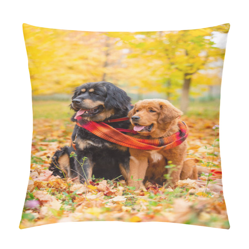 Personality  Two Large Dogs Sit In The Autumn Forest And Look To The Side Together. Dogs Of The Tibetan Mastiff Breed In Autumn Foliage With One Large Scarf. Vertical Frame Pillow Covers