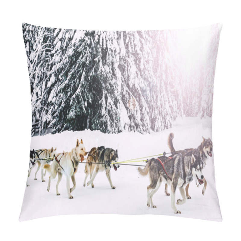 Personality  Alaska Husky Sled Dogs In Action In A Snowy Arctic Forest During Winter. High Quality Photo Pillow Covers