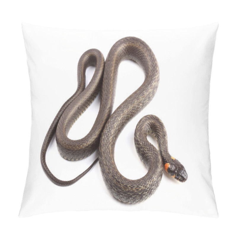 Personality  Grass Snake (Natrix Natrix) Isolated On White Pillow Covers