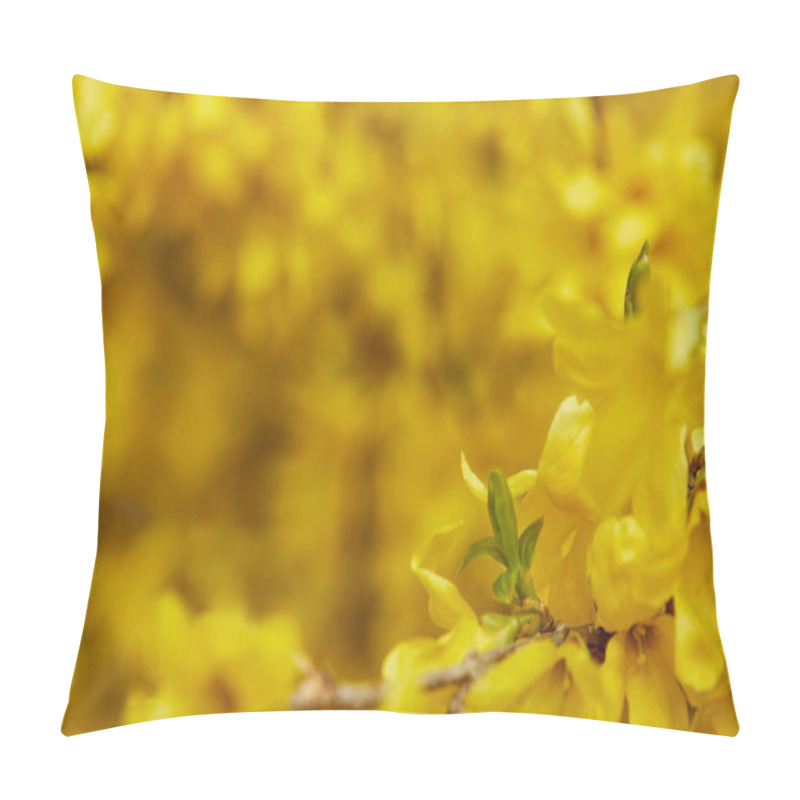 Personality  Close Up Of Yellow Blossoming Flowers With Petals On Tree Branches Pillow Covers