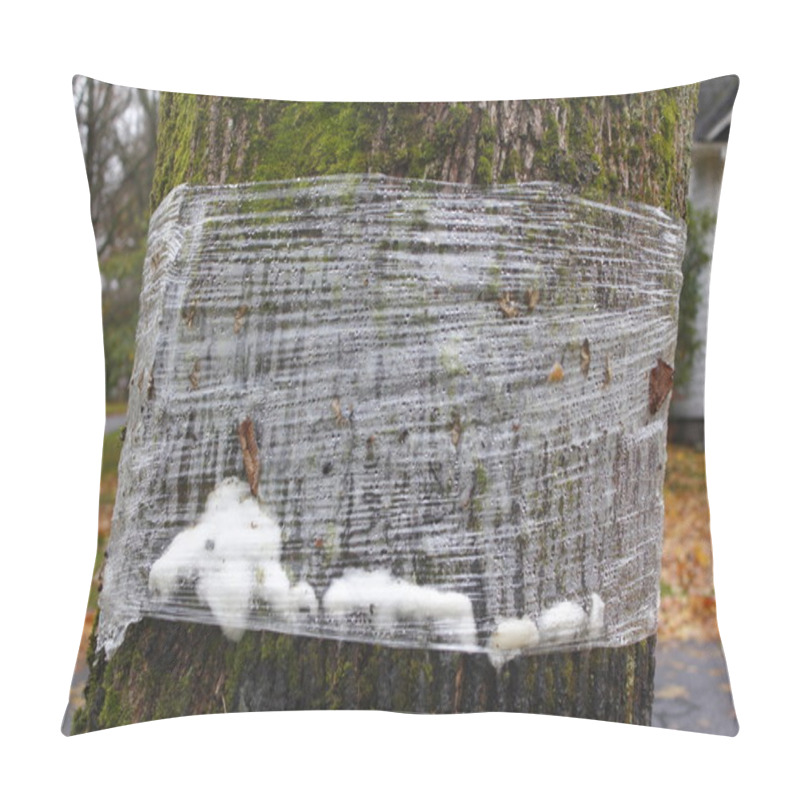 Personality  Gypsy Moth Prevention Pillow Covers