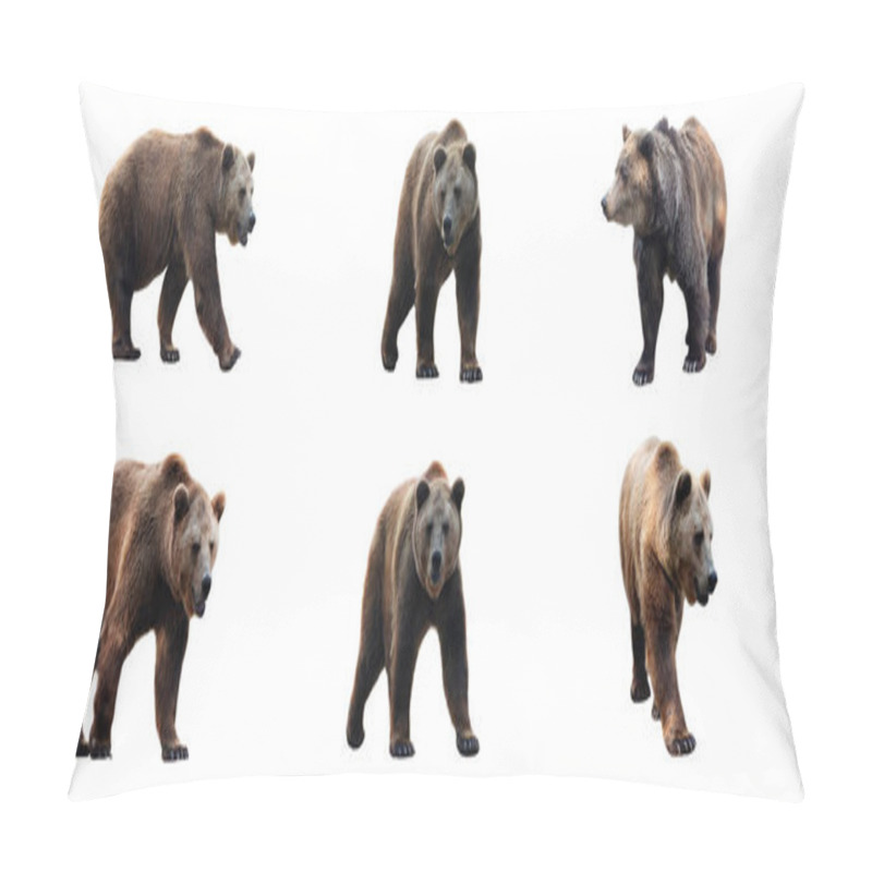 Personality  Set Of Brown Bears Isolated On White Background. Collage Of A Dangerous Predator Bear. Banner. Copy Space. Pillow Covers