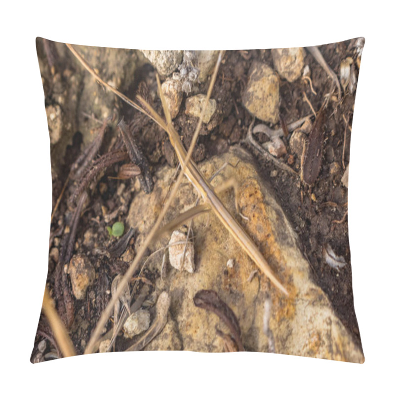 Personality  Discover The Fascinating Camouflage Of A Stick Insect Blending In With Plant Branches, Showcasing The Intricate Mimicry Of Nature's Creatures In Cyprus Pillow Covers