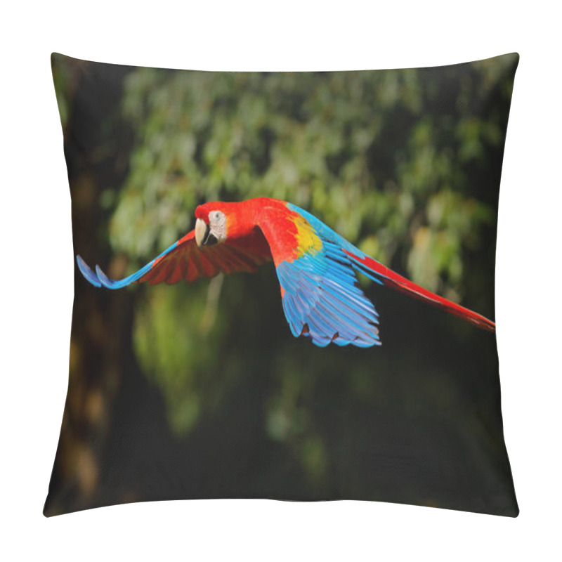 Personality  Red Parrot Flying In Dark Green Vegetation. Scarlet Macaw, Ara Macao, In Tropical Forest, Brazil. Wildlife Scene From Nature. Parrot In Flight In The Green Jungle Habitat. Pillow Covers