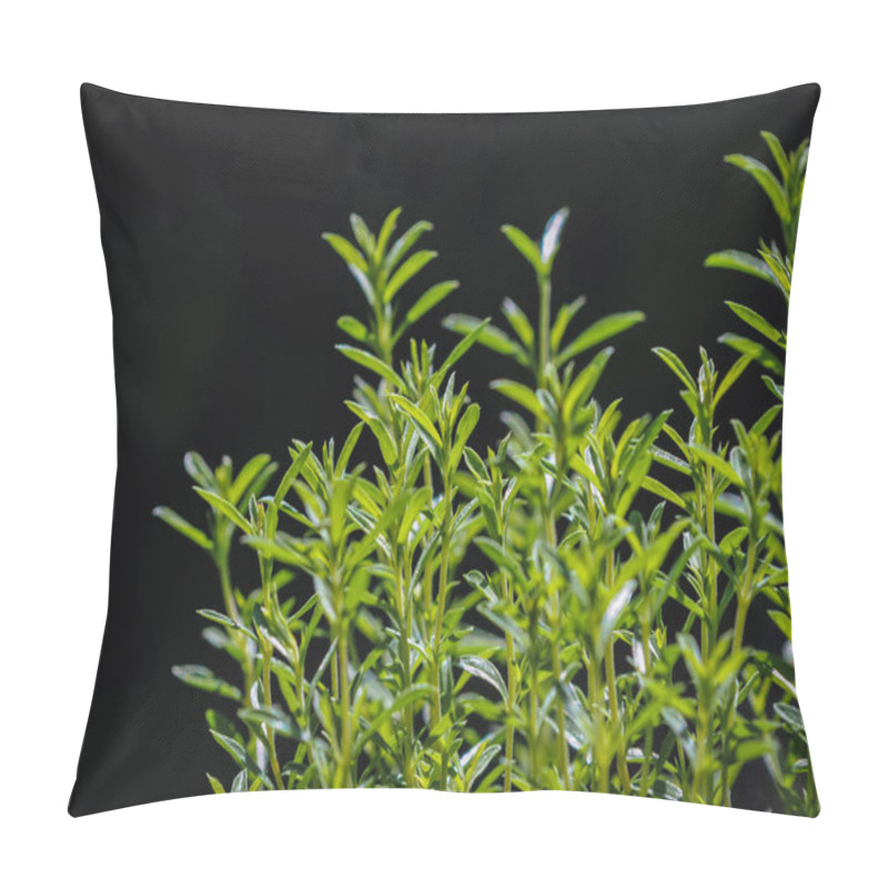 Personality  Winter Savory Plant Pillow Covers