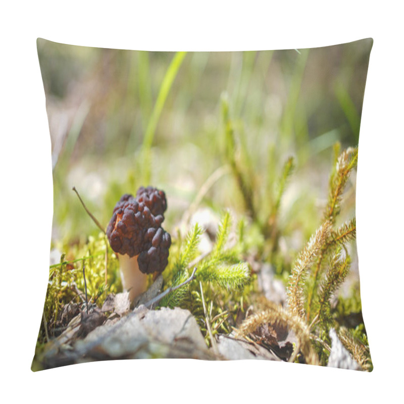 Personality  The First Spring Mushrooms In The Forest. The Collection Of Morelsare Found In Nature. Crop Of Mushroom Pickers. Pillow Covers