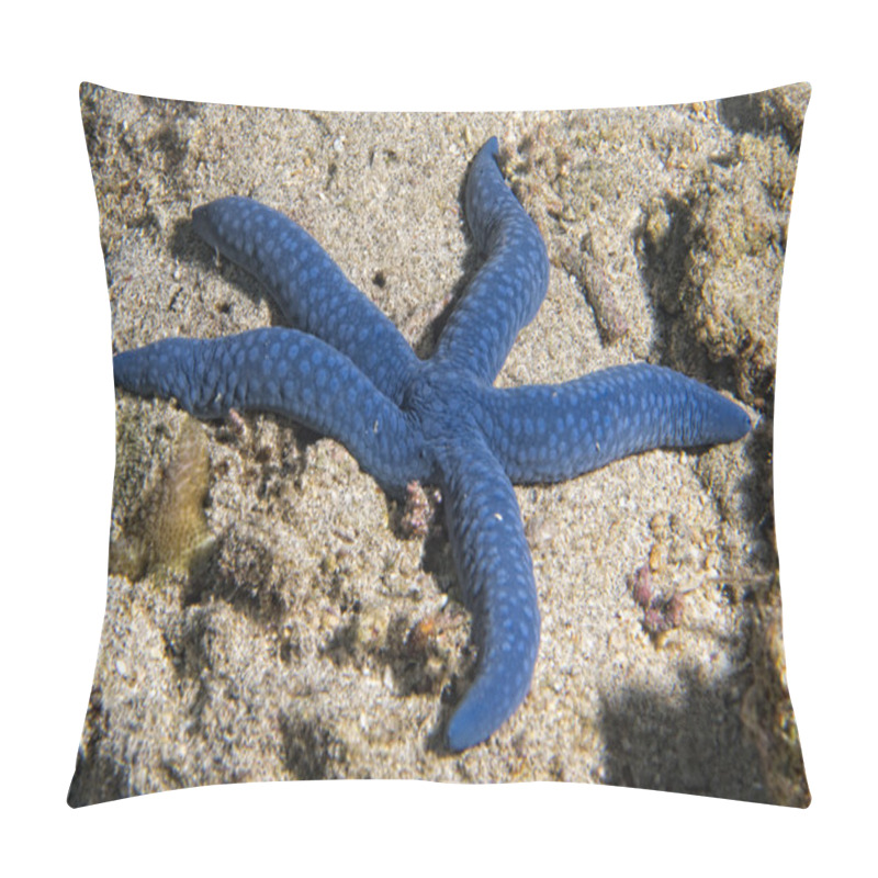 Personality  A Blue Sea Star Hanging On Reef  Pillow Covers