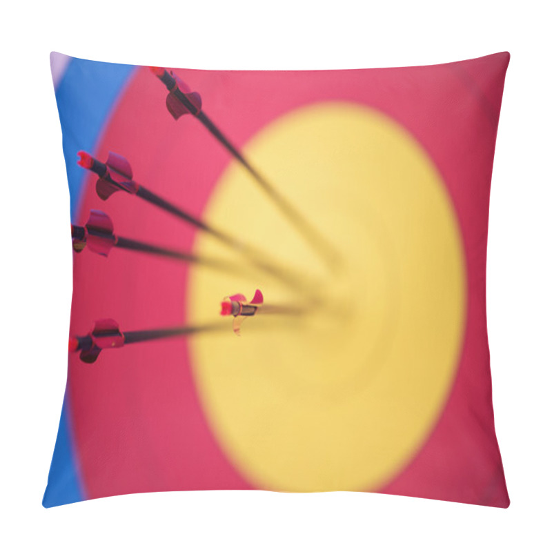 Personality  Woman With The Bow Pillow Covers