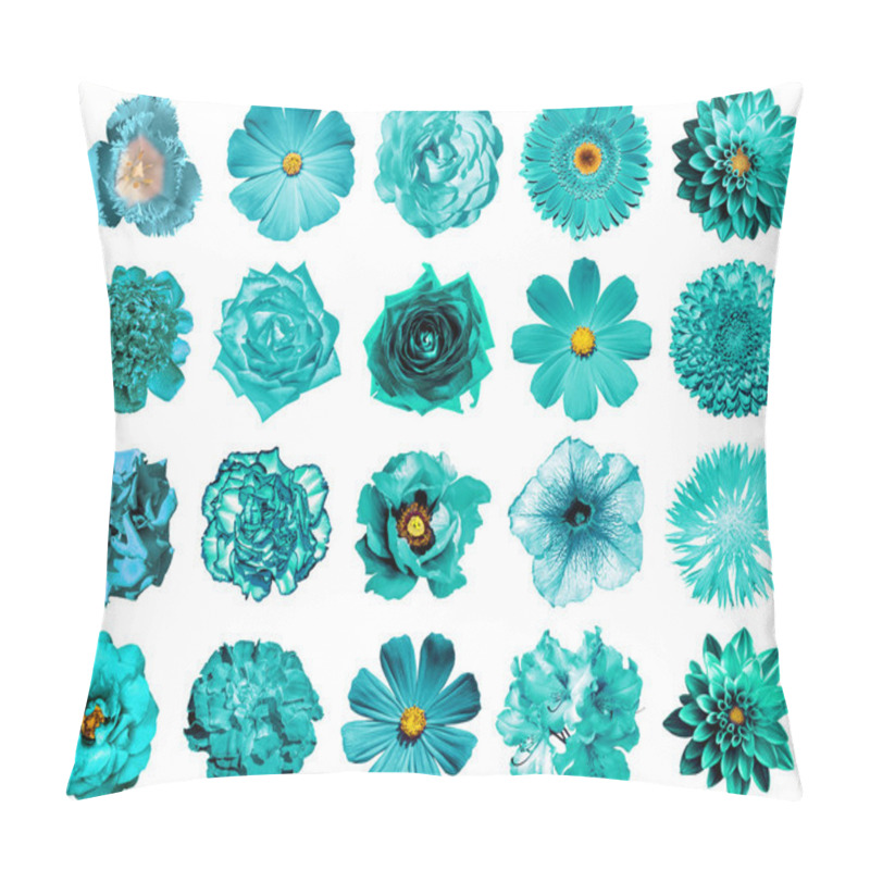 Personality  Collage Of Natural And Surreal Turquoise Flowers 20 In 1: Peony, Dahlia, Primula, Aster, Daisy, Rose, Gerbera, Clove, Chrysanthemum, Cornflower, Flax, Pelargonium, Marigold, Tulip Isolated On White Pillow Covers