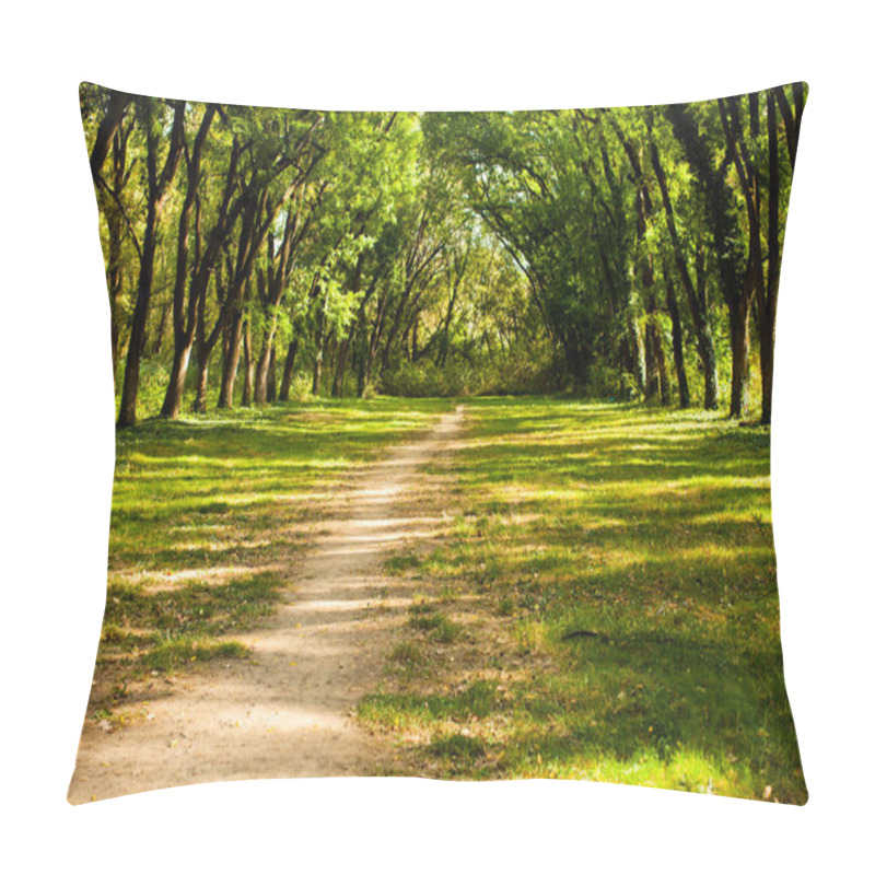 Personality  Fairytale Forest Landscape During The Sunny Day Pillow Covers