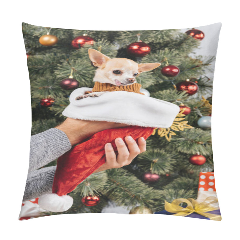 Personality  Partial View Of Man Holding Chihuahua Dog In Santa Claus Hat Against Christmas Tree On Background Pillow Covers