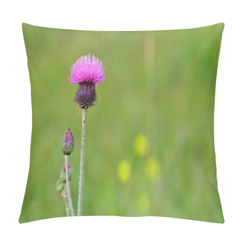 Personality  Natural Thorns, Purple Flowering Thorn Photos Pillow Covers