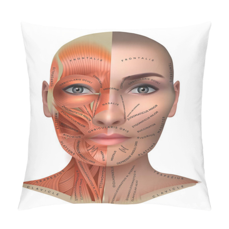 Personality  Face Muscles Pillow Covers