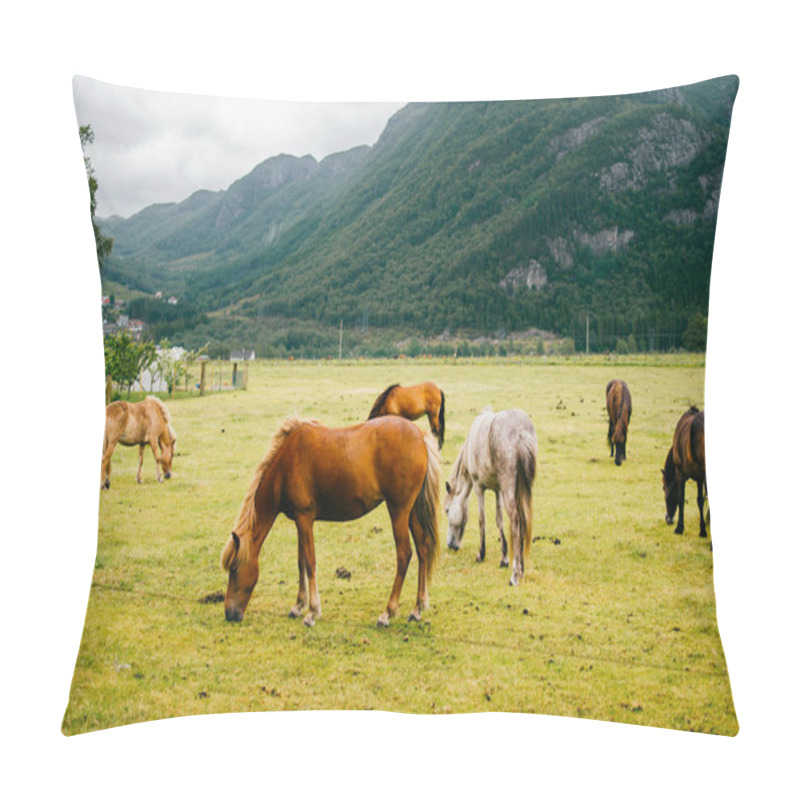 Personality  Wildlife In Norway. Scandinavian Fjord Beautiful Horses On Pasture Eat Grass On Field In Summer Rainy Weather. Cloudy Sky. Mountains On Background. Rocks. Funny Mammal Animals. Rural. Travel. Nature. Pillow Covers