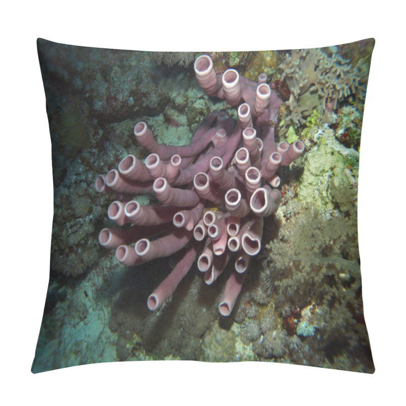 Personality  Colonial Tube Sponge, Callyspongia Siphonella, Fury Shoal, Red Sea, Egypt  Pillow Covers