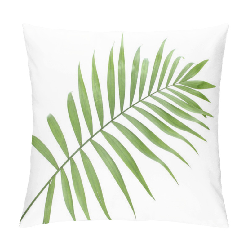 Personality  Beautiful Green Palm Leaf Isolated On White Pillow Covers