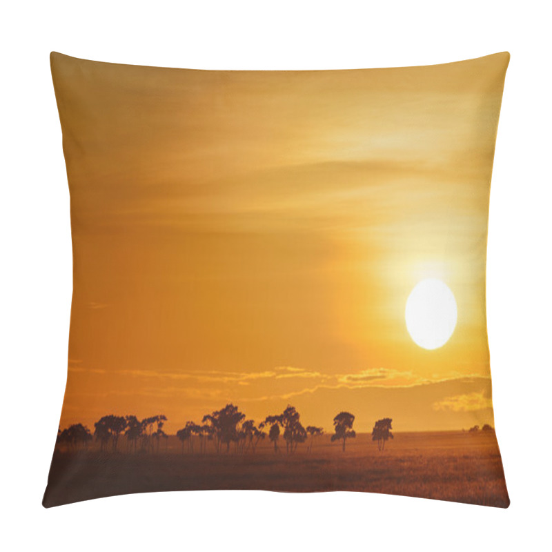 Personality  Landscape With Sunrise On The Savanna In Kenya Pillow Covers