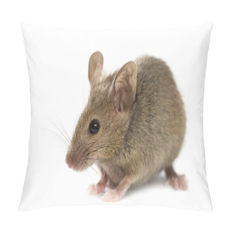 Personality  Wood Mouse In Front Of A White Background Pillow Covers