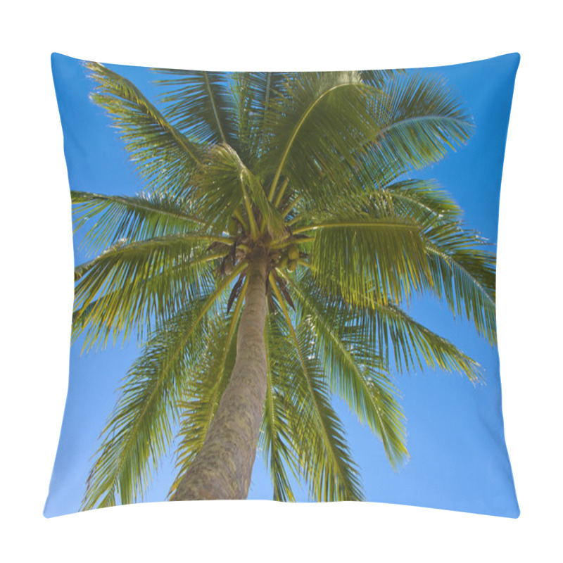 Personality  Coconuts Palm Tree Pillow Covers