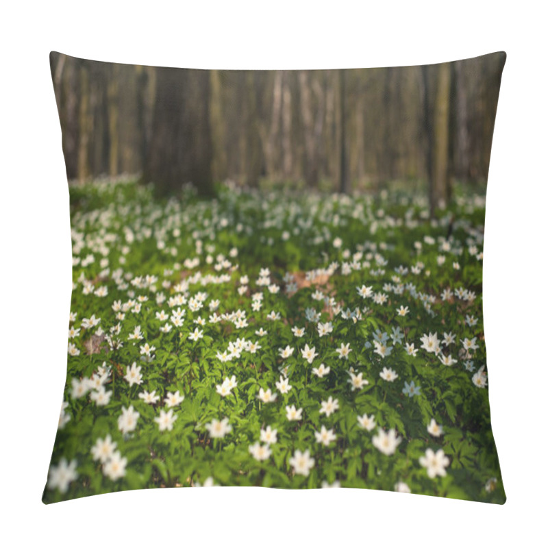 Personality  Anemone Nemorosa Flower In The Forest In The Sunny Day.  Pillow Covers