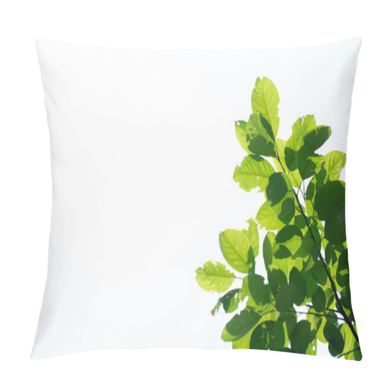 Personality  Green Tropical Leaves Over Bright Background. Pillow Covers