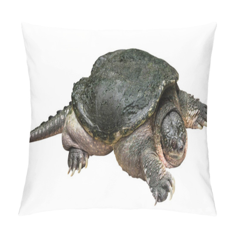 Personality  Snapping Turtle ( Chelydra Serpentina ) Is Creeping And Raise One's Head On White Isolated Background . Side View . Pillow Covers