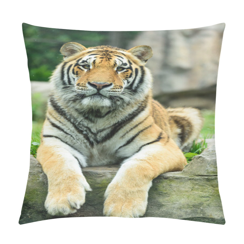 Personality  The Tiger Face Pillow Covers