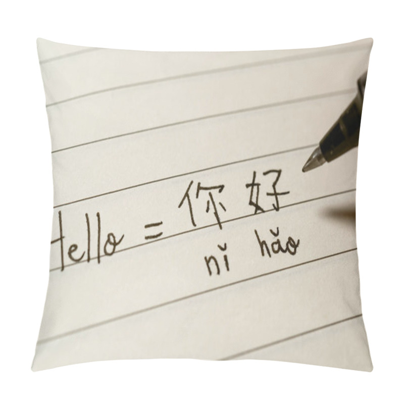 Personality  Beginner Chinese Language Learner Writing Hello Word Nihao In Ch Pillow Covers