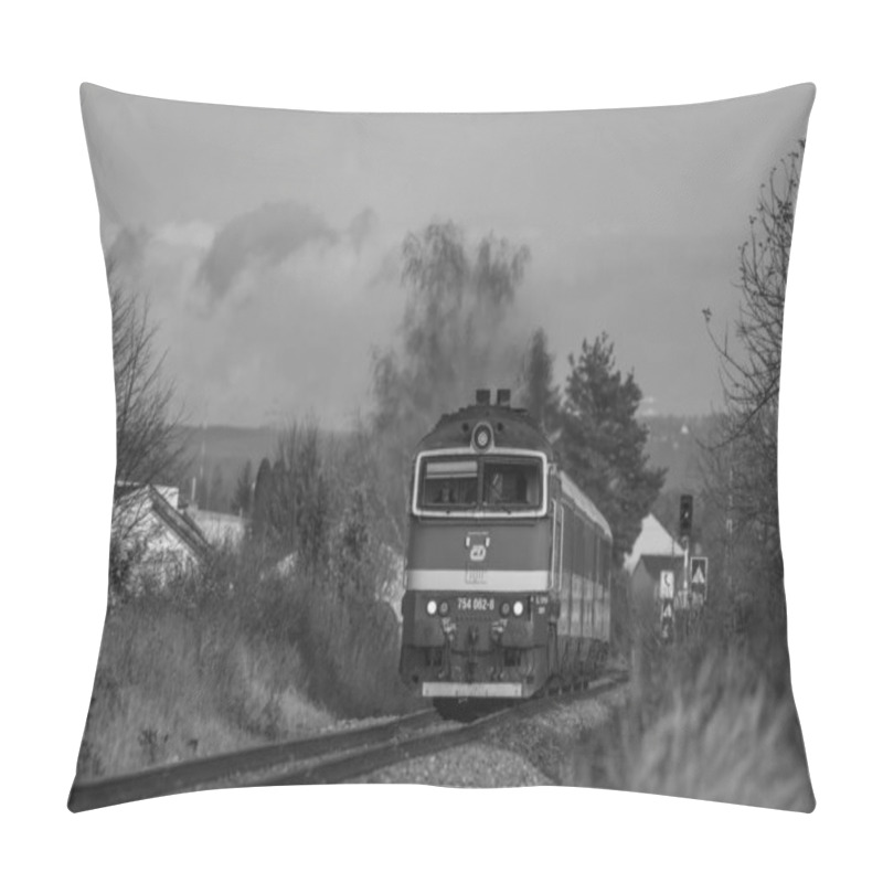 Personality  Fast Diesel Engine Train From Prague To Cesky Krumlov Near Budweis CZ 12 04 2024 Pillow Covers