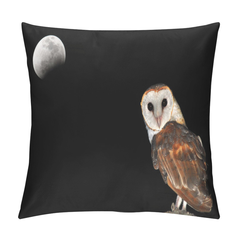 Personality  Barn Owl  Pillow Covers