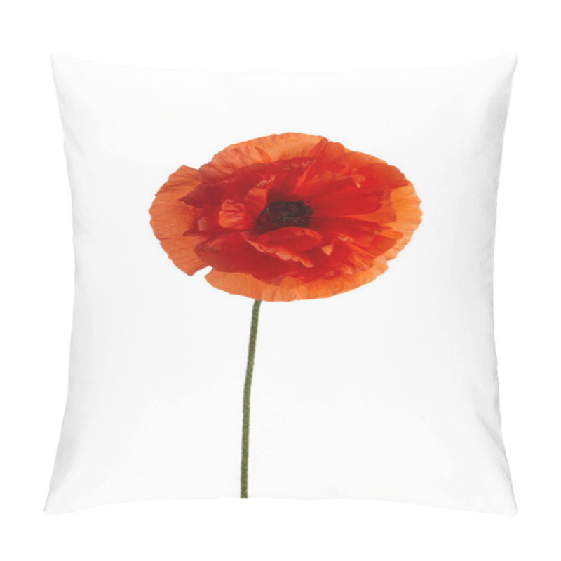 Personality  Bright Red Poppy Flower Isolated On White Background. Pillow Covers