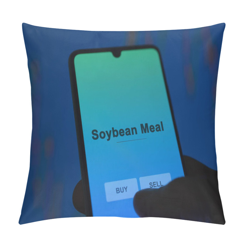 Personality  An Investor Analyzing The Soybean Meal Etf Fund On A Screen. A Phone Shows The Prices Of Soybean Meal Pillow Covers