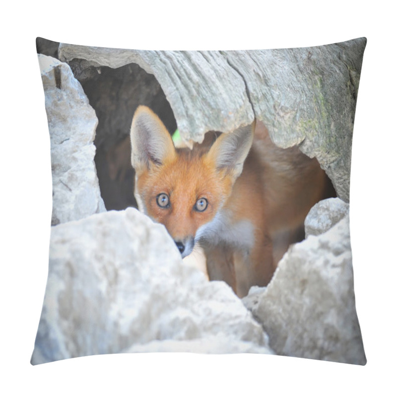 Personality  Young Red Fox Hiding In Tree Stump Den Pillow Covers