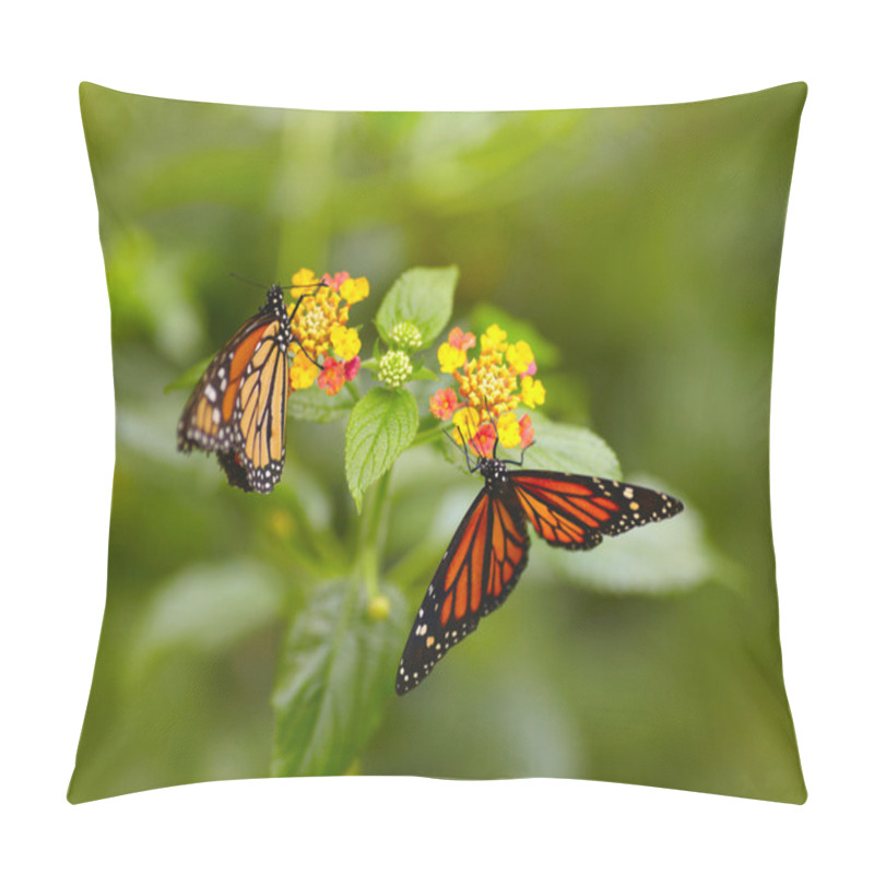 Personality  Two Tiger Butterfly On The Flowers Pillow Covers