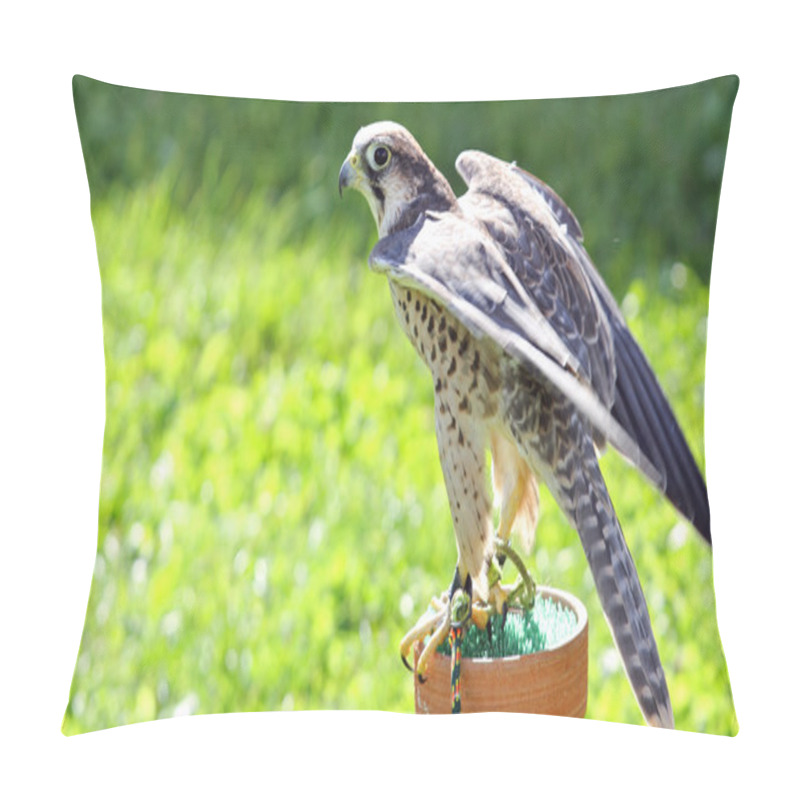 Personality  Peregrine Falcon Perched On A Trestle Pillow Covers