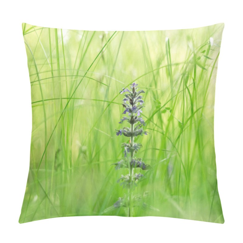 Personality  Immerse Yourself In The Summer Meadow Ambiance With This Photo Of A Vibrant Purple Field Flower Amidst Lush Green Grass, Capturing The Essence Of A Sunny Meadow Pillow Covers