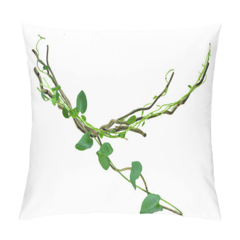 Personality  Circular Vine At The Roots Of Tropical Trees. Isolated On White Background With Clipping Path Included. Floral Desaign. HD Image And Large Resolution. Can Be Used As Wallpaper Pillow Covers