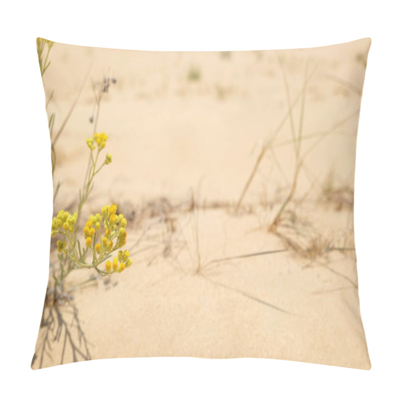 Personality  Beautiful Yellow Flower Growing In Sandy Desert On Sunny Day. Space For Text Pillow Covers