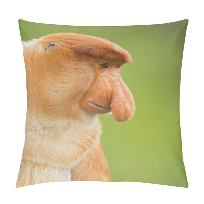 Personality  Proboscis Monkey (Nasalis Larvatus) Or Long-nosed Monkey, Known As The Bekantan In Indonesia, Is A Reddish-brown Arboreal Old World Monkey With An Unusually Large Nose. It Is Endemic To The Southeast Asian Island Of Borneo.  Pillow Covers